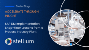 Blog banner for SAP DM Implementation story